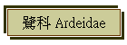 O Ardeidae