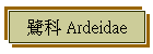 O Ardeidae