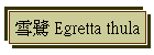 O Egretta thula