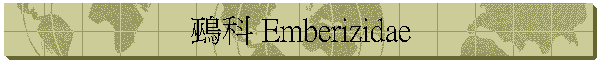 鵐 Emberizidae