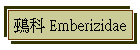 鵐 Emberizidae