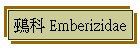 鵐 Emberizidae