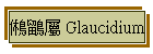  Glaucidium