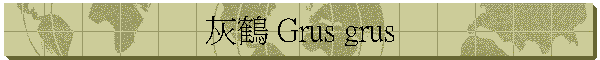 b Grus grus