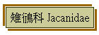 n鴴 Jacanidae