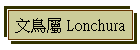 峾 Lonchura