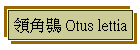 ⨤ Otus lettia