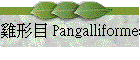 Υ Pangalliformes