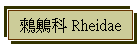  䴈 Rheidae