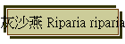 ǨFP Riparia riparia