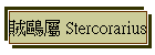  Stercorarius