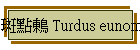 I Turdus eunomus