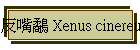 ϼLf Xenus cinereus