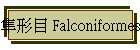 GΥ Falconiformes