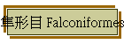 GΥ Falconiformes