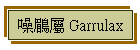 鶥 Garrulax