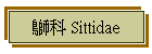 Ƭ Sittidae