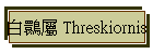 䴉 Threskiornis