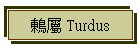  Turdus