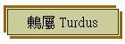  Turdus